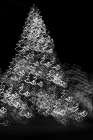 USA-Arizona-Buckeye-Black and white abstract motion of Christmas tree at night Art Print